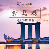 新加坡马来西亚wifi新马泰通用随身wifi租赁4G无线上网卡egg包邮
