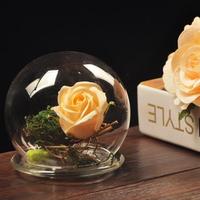 上新微景观花瓶永生花玻璃罩创意透明球形景观装饰罩子包邮罩diy