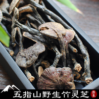四季沫寻食材之の海南五指山原产地100%纯野生竹灵芝115g煲汤泡茶
