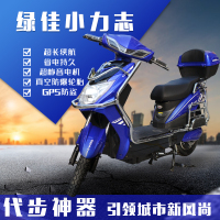 新日绿佳上海长期牌照踏板电动自行车双人48V60V成人电摩前后碟刹