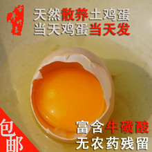 土鸡蛋农家散养30枚新鲜包邮 固始草鸡蛋笨鸡蛋正宗土特产月子蛋