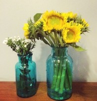 简约风西班牙广口彩色玻璃花瓶 蓝色绿色黄色 水培容器特价
