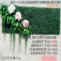 仿真草坪植物墙人造塑料草皮假绿植墙体门头装饰米兰人造背景墙