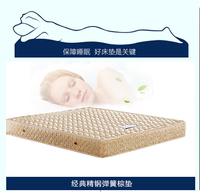 纯天然棕垫 两面双用家用环保床垫特价弹簧床垫双人床垫南京包邮
