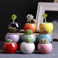 陶瓷花盆 创意花盆白色多肉植物花盆现代简约大小种花盆彩色圆球