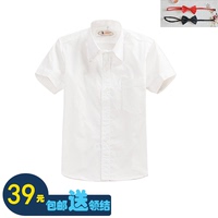 男童白衬衫短袖纯棉儿童衬衣中小学生校服衬衫六一大合唱演出服