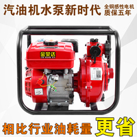 双泵高压水泵自吸泵抽水泵家用2寸 3寸 4寸高扬程抽水机