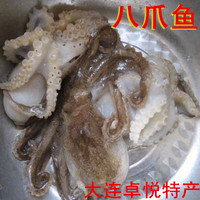 大连庄河海鲜特产 新鲜鲜活水产 小八爪鱼 小章鱼墨鱼 8 ~13只/斤