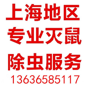 上海专业上门服务灭老鼠灭蟑螂服务灭虫灭白蚁服务灭跳蚤灭鼠公司