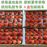 草莓 新鲜水果 新鲜草莓1盒