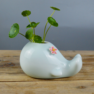 景德镇创意可爱水培陶瓷小清新花瓶卡通鲸鱼软装家居装饰品花盆