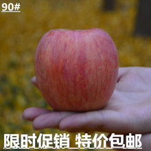 大沙河红富士苹果新鲜水果 苹果 红富士苹果有机水果精品大果