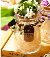 结婚用品个性森系玻璃喜糖瓶欧式婚礼糖盒创意喜糖盒子糖果瓶定制