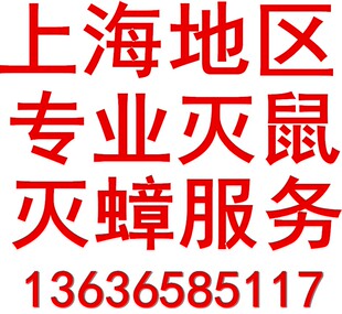 上海专业上门服务灭蟑螂服务灭老鼠服务灭虫灭白蚁灭跳蚤灭鼠公司