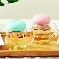 可爱韩版带手柄花茶玻璃水杯水壶便携学生女创意礼品办公室随手杯