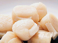 【冰冻带子贝柱】68元/斤6~8粒 鲜冻大粒贝柱肉江珧瑶柱带子肉