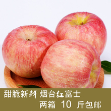 新鲜有机水果正宗烟台苹果栖霞红富士山东特产10斤80#冰糖心苹果