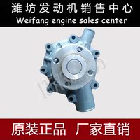 潍坊潍柴动力道依茨WP4/WP6/226B柴油机发动机配件13034987水泵