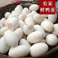 苏北农家鸭蛋新鲜纯天然散养有机生鸭蛋绿皮鲜麻鸭蛋30枚装包邮