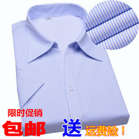 女士白底蓝色细条纹短袖衬衫夏季银行OL工装V领修身半袖大码衬衣