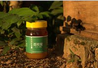 广西荔枝蜜 农家自产土蜂蜜荔枝蜜品质保健天然蜂蜜纯蜜适合火气