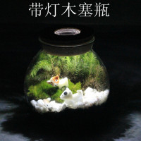 多肉植物生态瓶 玻璃圆球 微景观容器带灯木塞瓶 苔藓DIY玻璃瓶