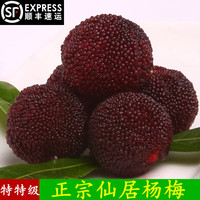 【特特级】正宗仙居杨梅 原产地直销新鲜水果荸荠东魁杨梅6.5斤