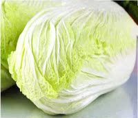 新鲜大白菜 农家种植有机无公害蔬菜青菜 白菜5斤包邮火锅食材
