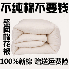 100%纯棉长绒棉保暖舒适被学生床上被棉絮秋冬季被芯床垫被子3斤